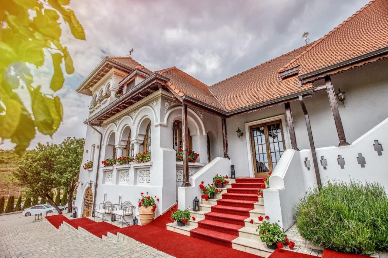 Casa Timis - Wellness & Spa Resort Chitorani Экстерьер фото The entrance of the winery