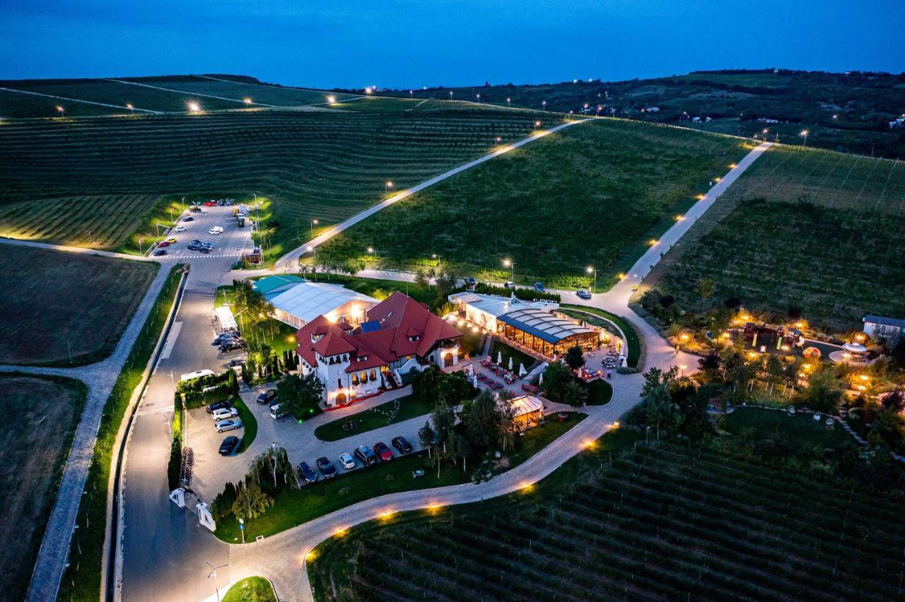 Casa Timis - Wellness & Spa Resort Chitorani Экстерьер фото Aerial view of the winery